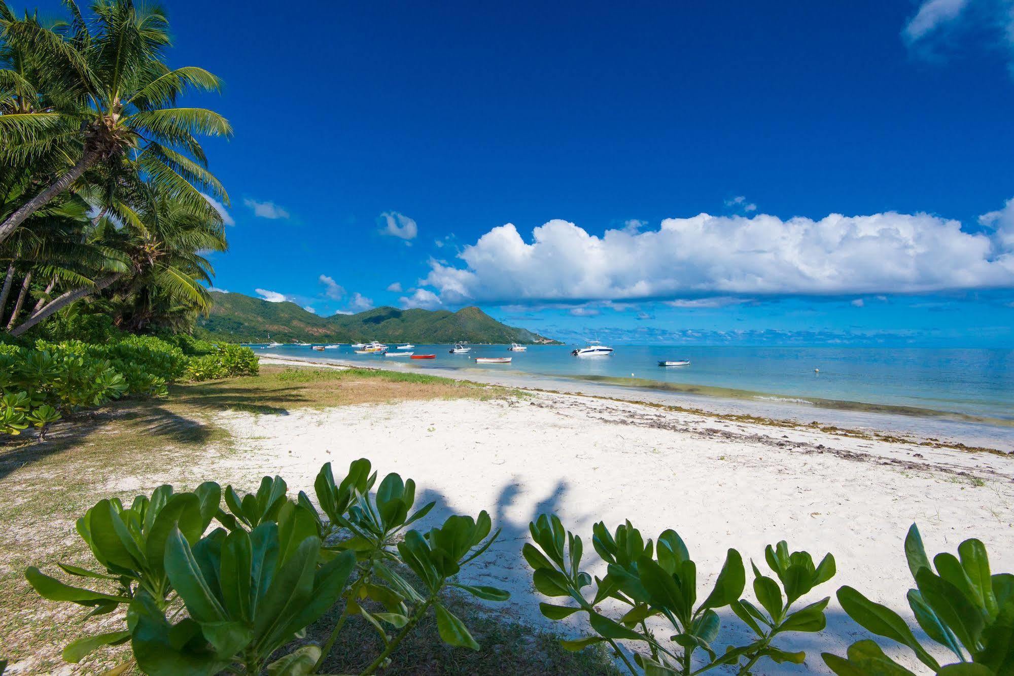 Le Tropique Villa (Adults Only) Grand Anse  Ngoại thất bức ảnh